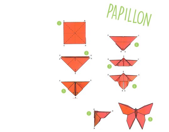 papillon - origami